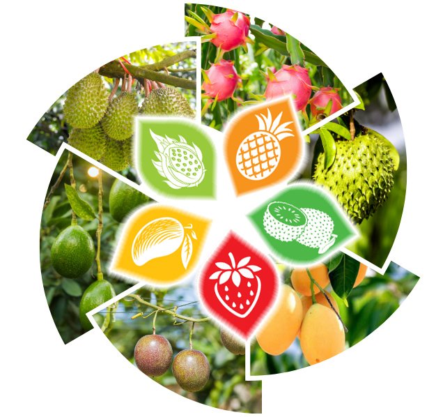 Tại sao chọn Hoa Ưu Việt